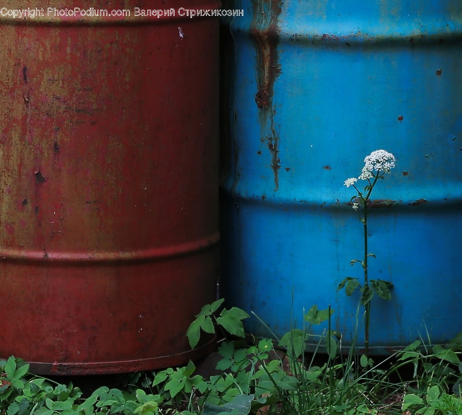 Rust, Barrel, Cylinder