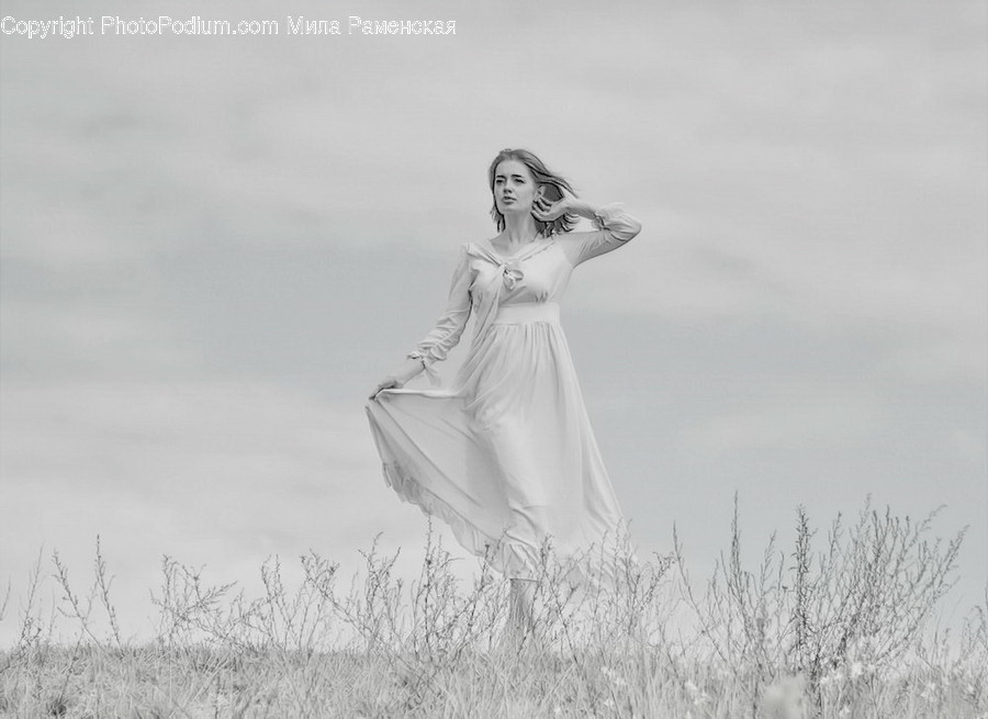 Apparel, Clothing, Dress, Gown, Fashion