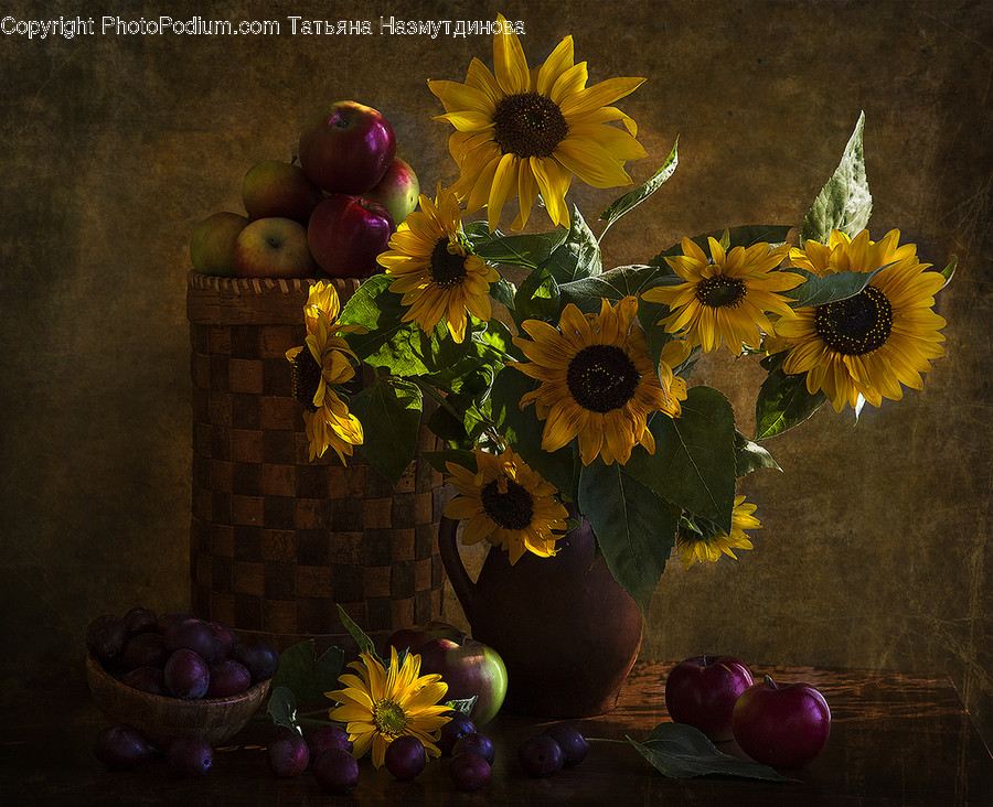 Plant, Painting, Art, Flower, Blossom