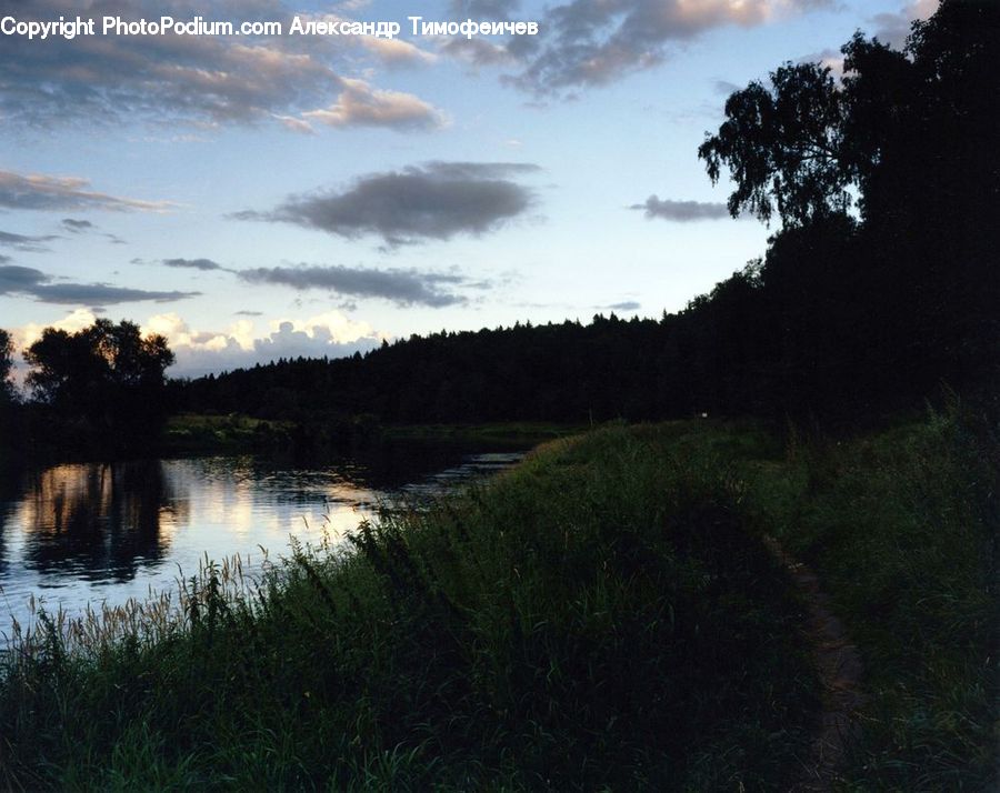 Land, Marsh, Outdoors, Swamp, Water, Pond, Field