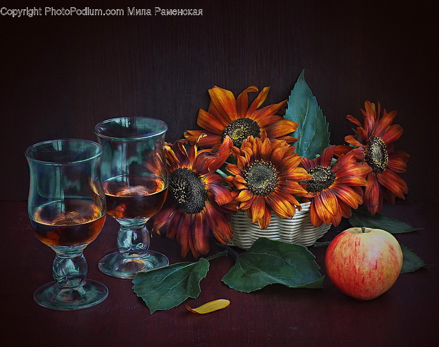 Plant, Glass, Flower, Blossom, Goblet