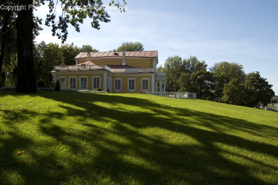 Plant, Grass, Lawn, Campus