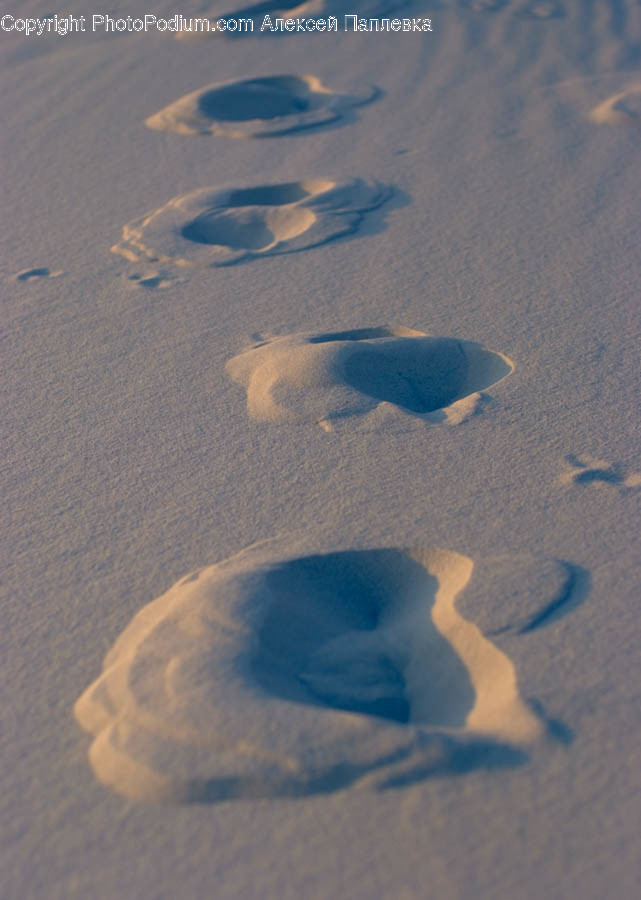 Footprint, Fish, Animal