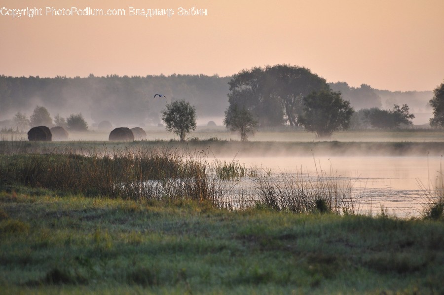 Nature, Weather, Outdoors, Mist, Fog