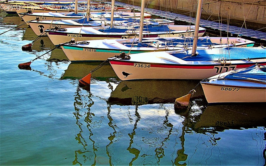 Transportation, Vessel, Vehicle, Watercraft, Water