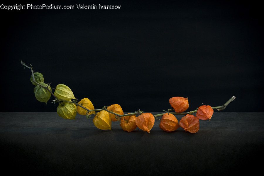 Plant, Fruit, Food, Produce, Citrus Fruit