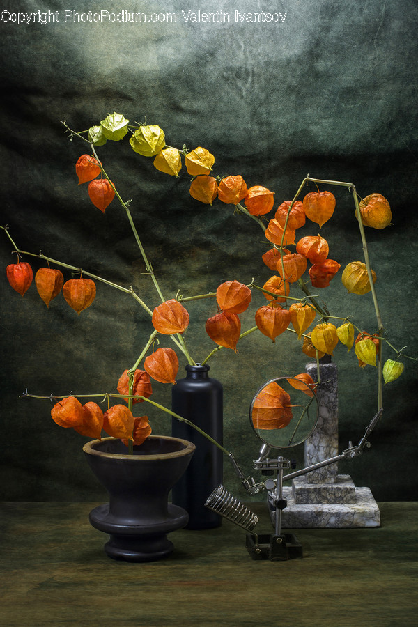 Plant, Leaf, Home Decor, Sphere, Produce
