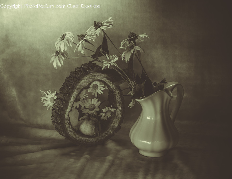 Machine, Wheel, Jug, Pottery, Plant