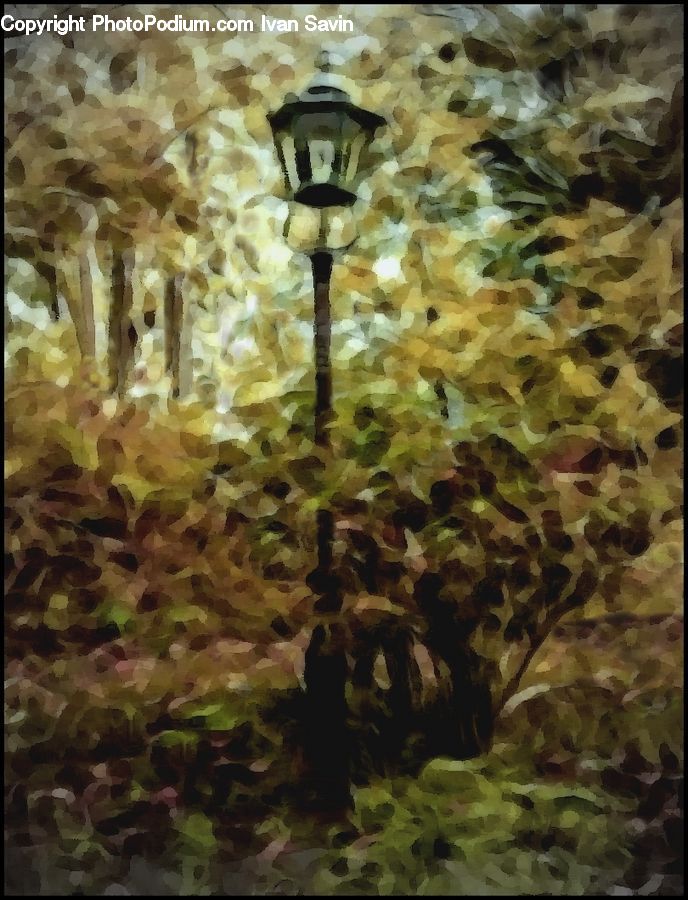 Ivy, Plant, Vine, Forest, Vegetation, Lighting, Blossom