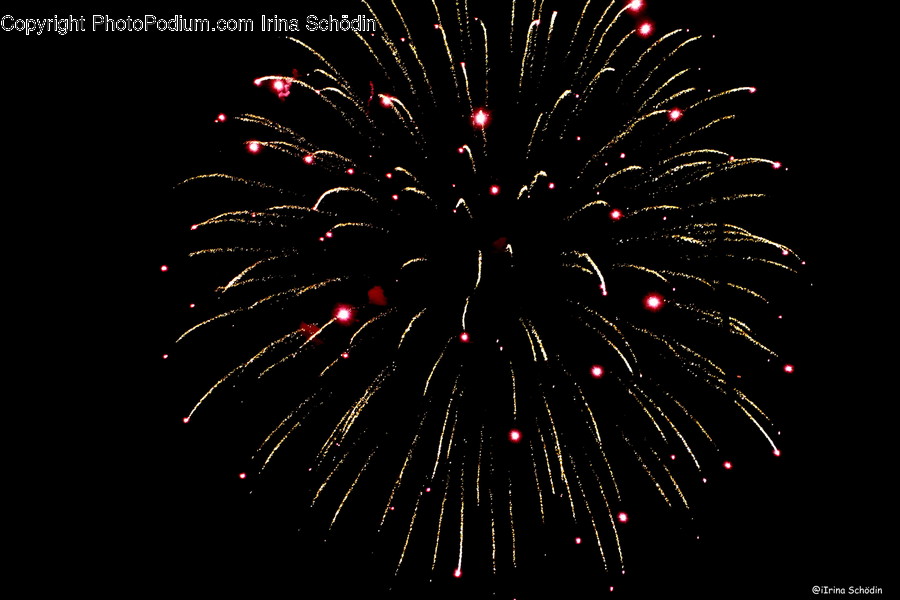 Nature, Outdoors, Night, Fireworks, Plant