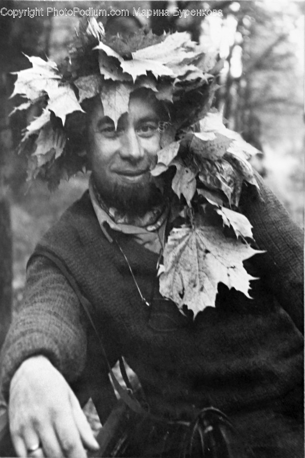 Leaf, Plant, Person, Human, Face