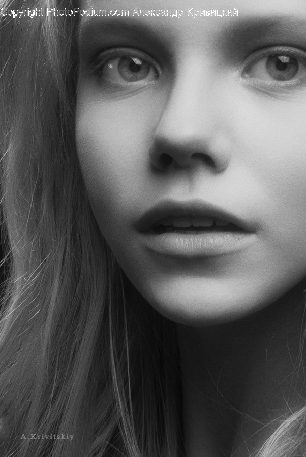 Face, Human, Person, Head, Portrait