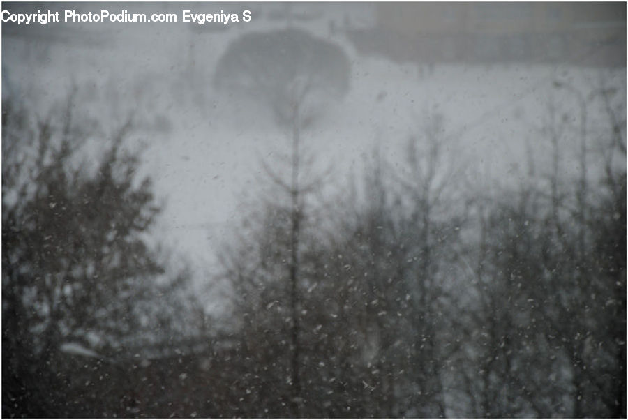 Blizzard, Outdoors, Snow, Weather, Winter