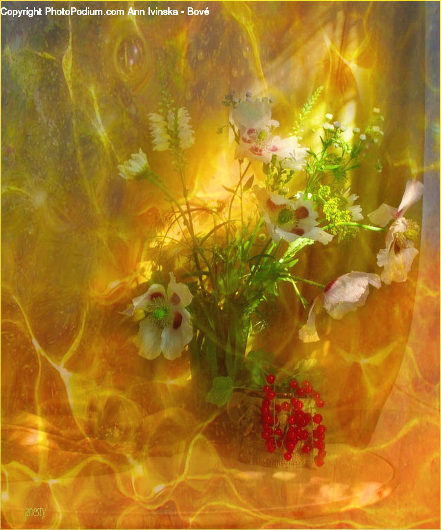 Art, Fractal, Modern Art, Flare, Light, Sunlight, Blossom