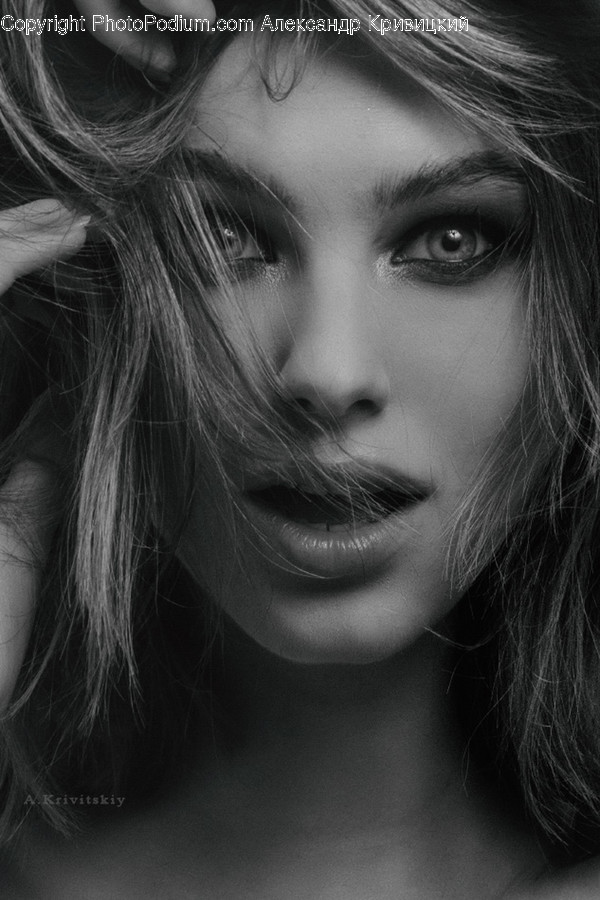 Human, Face, Person, Portrait, Photo
