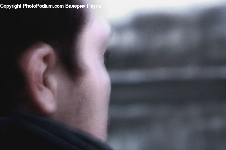 People, Person, Human, Head, Portrait, Face