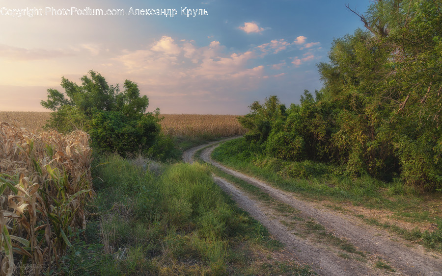 Road, Gravel, Dirt Road, Nature, Outdoors