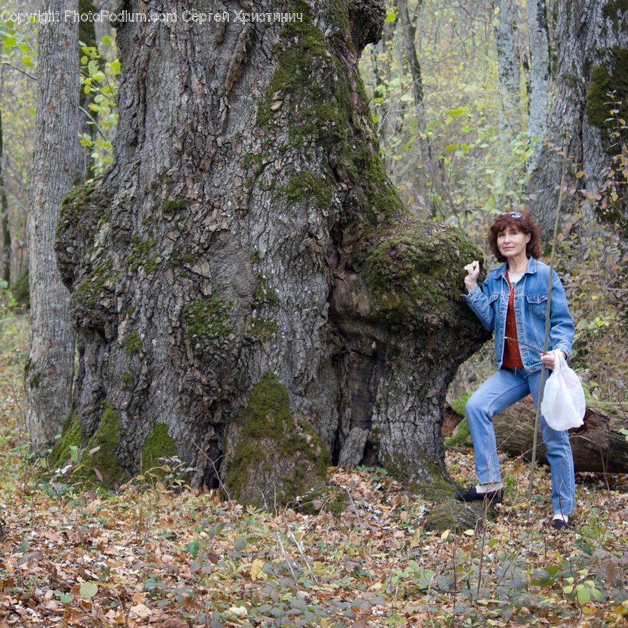 Clothing, Apparel, Pants, Tree, Plant