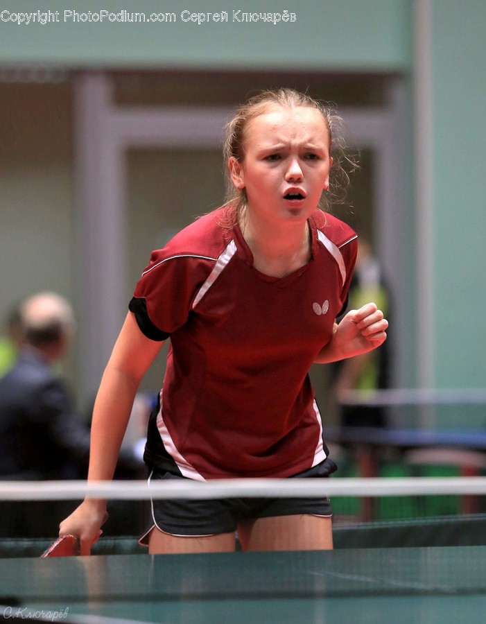 Human, Person, Sport, Sports, Ping Pong