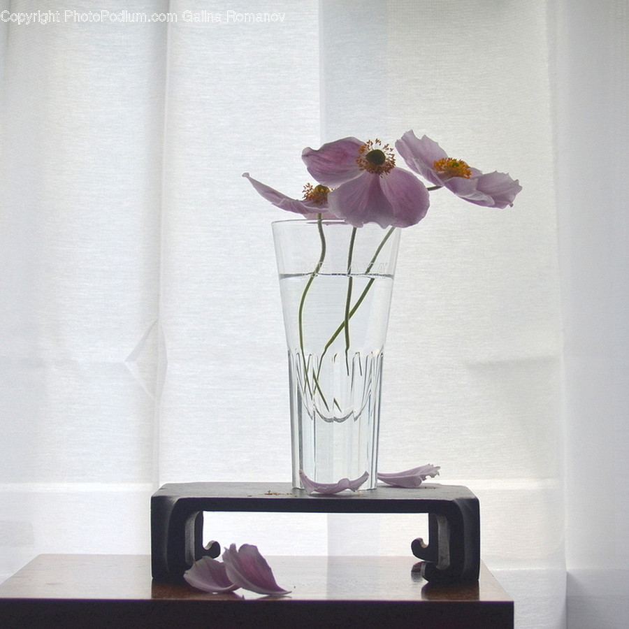Vase, Pottery, Jar, Plant, Ornament