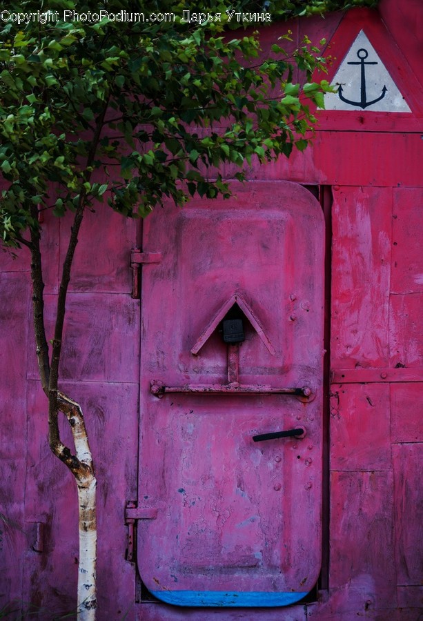 Door, Plant, Brick, Tree, Jar