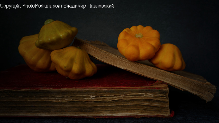 Plant, Produce, Food, Vegetable, Squash