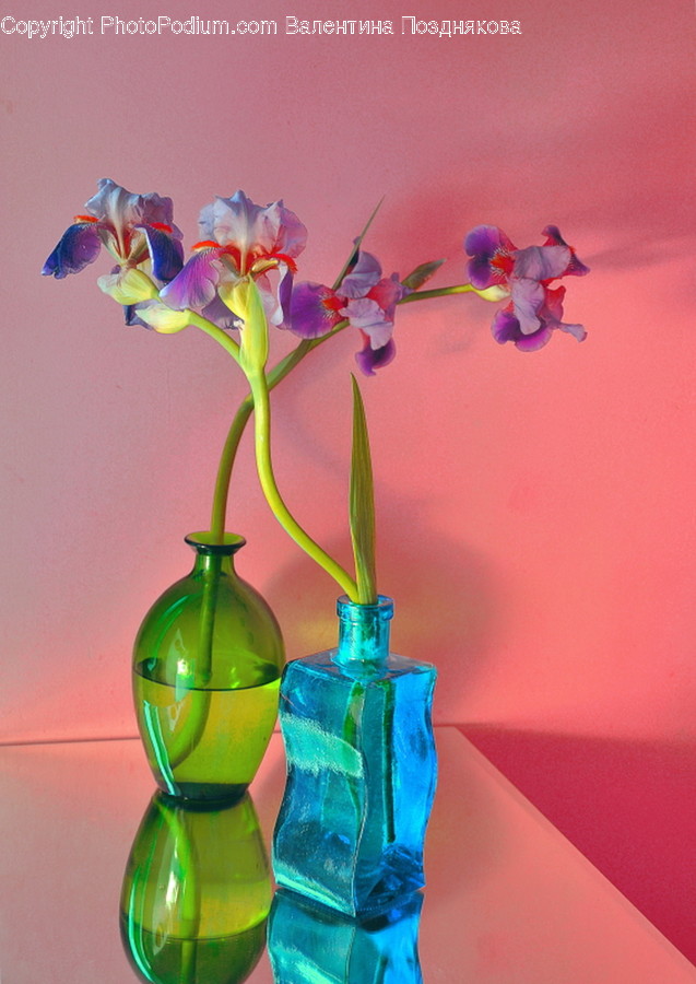 Bottle, Crystal, Plant, Blossom, Flower