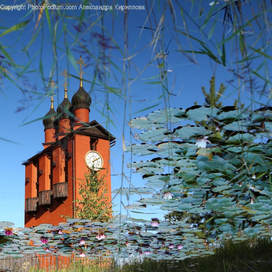 Architecture, Tower, Building, Clock Tower