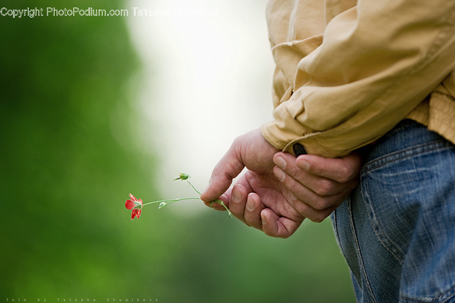 Human, Person, Finger, Plant, Hand