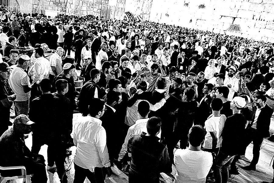 Human, Person, Audience, Crowd, People