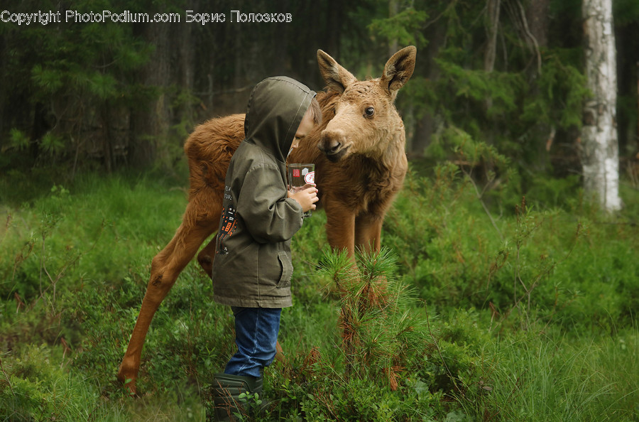 Human, Person, Mammal, Animal, Calf