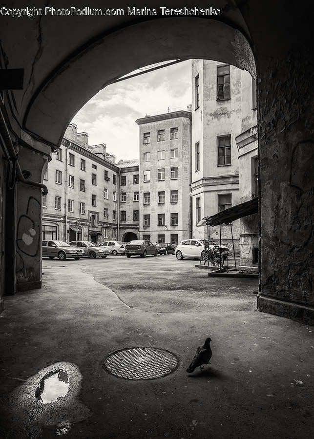 Path, Transportation, Automobile, Car, Vehicle