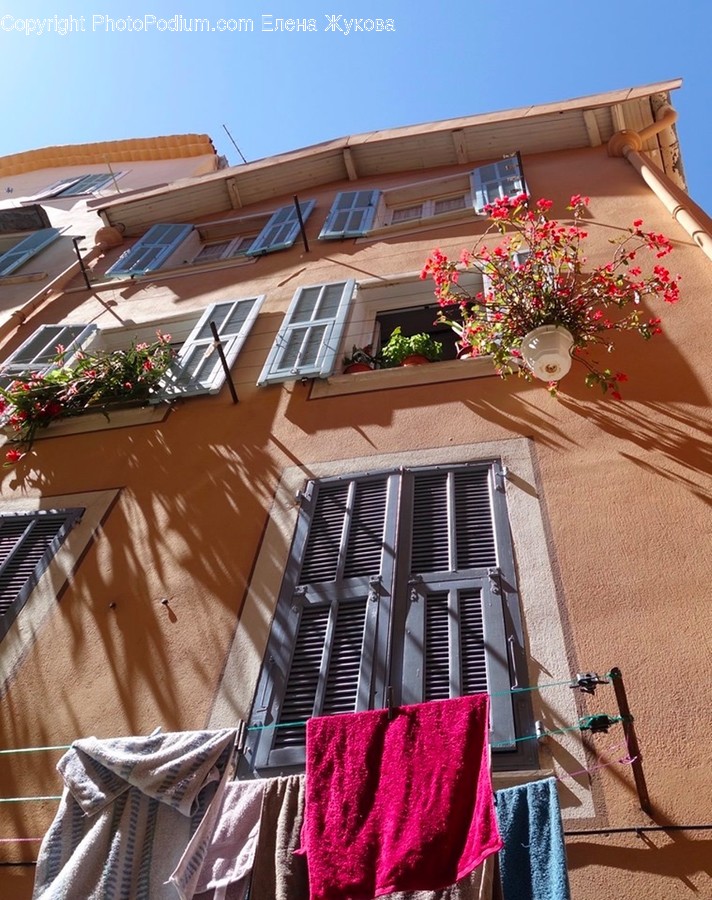 Home Decor, Window, Curtain, Window Shade, Plant