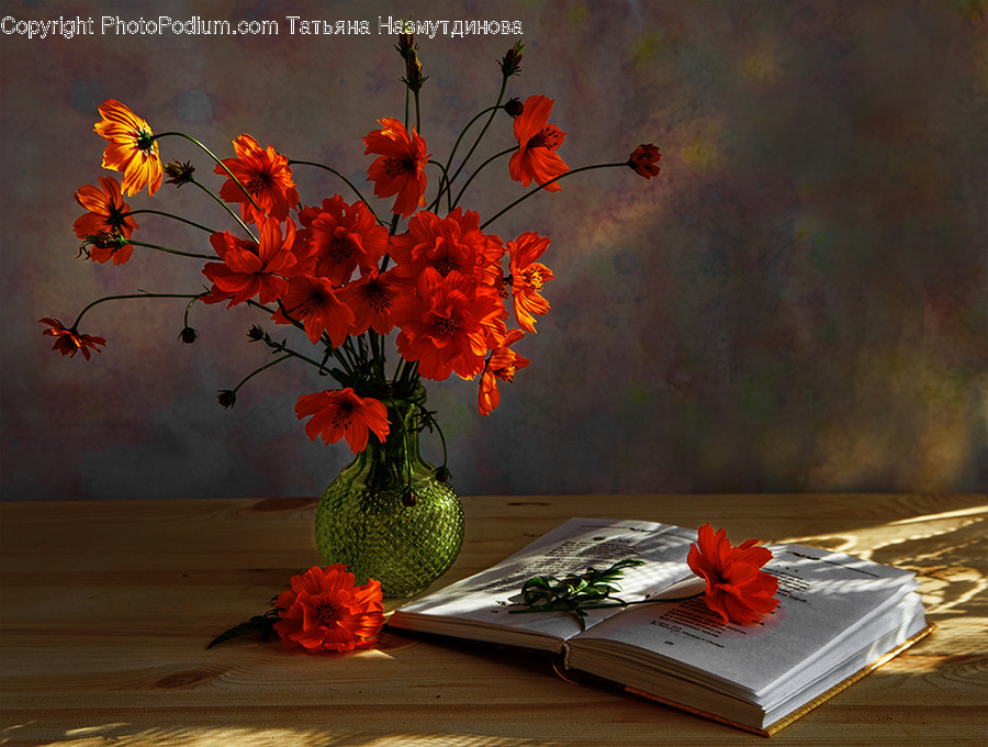 Plant, Book, Blossom, Flower, Art