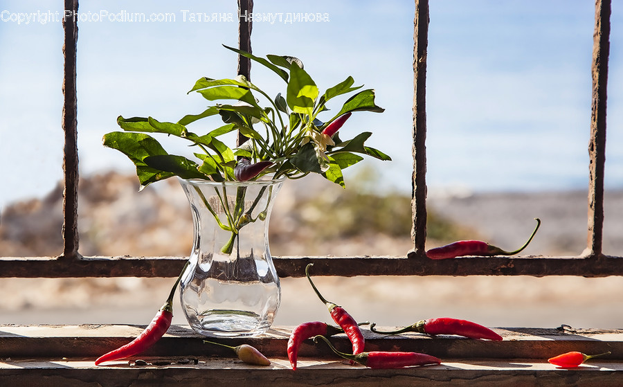 Plant, Glass, Goblet, Food, Fruit