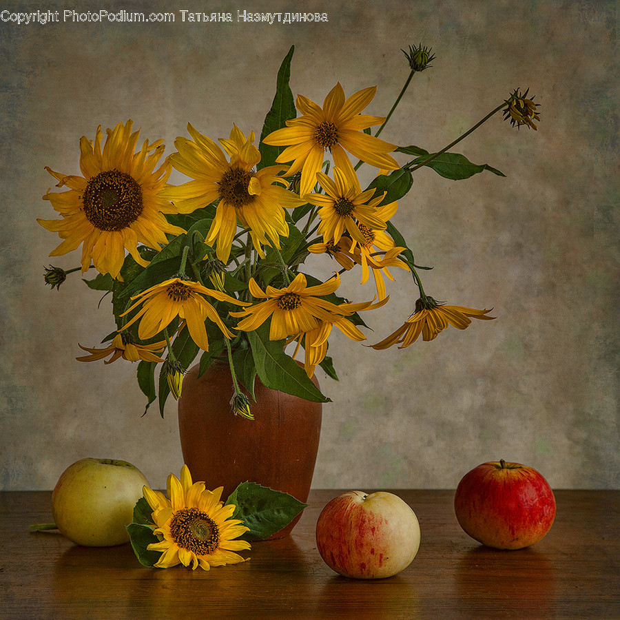 Plant, Flower, Blossom, Art, Painting