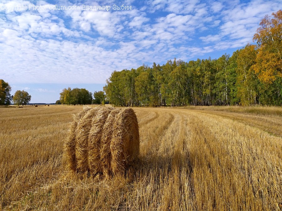 Nature, Outdoors, Countryside, Hay, Straw