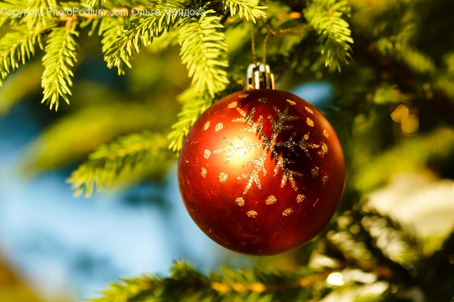 Ornament, Tree, Plant, Sphere