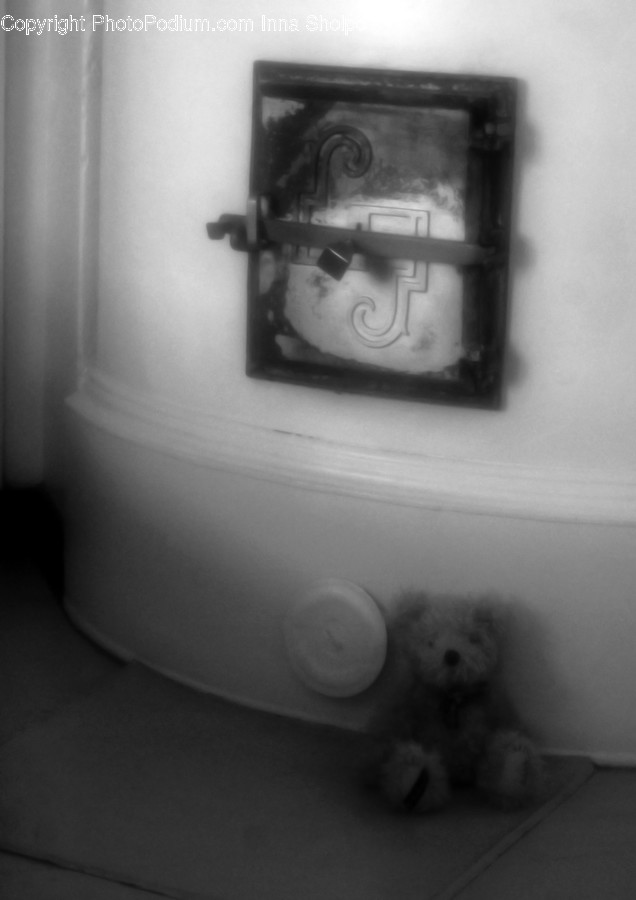 Teddy Bear, Toy, Electronics, Camera