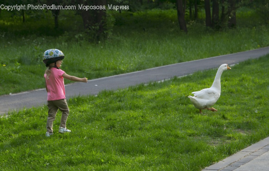 Person, Human, Animal, Bird, Plant