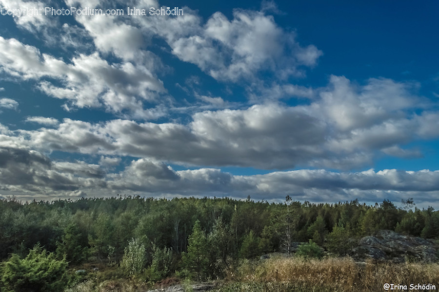 Nature, Weather, Outdoors, Cloud, Cumulus