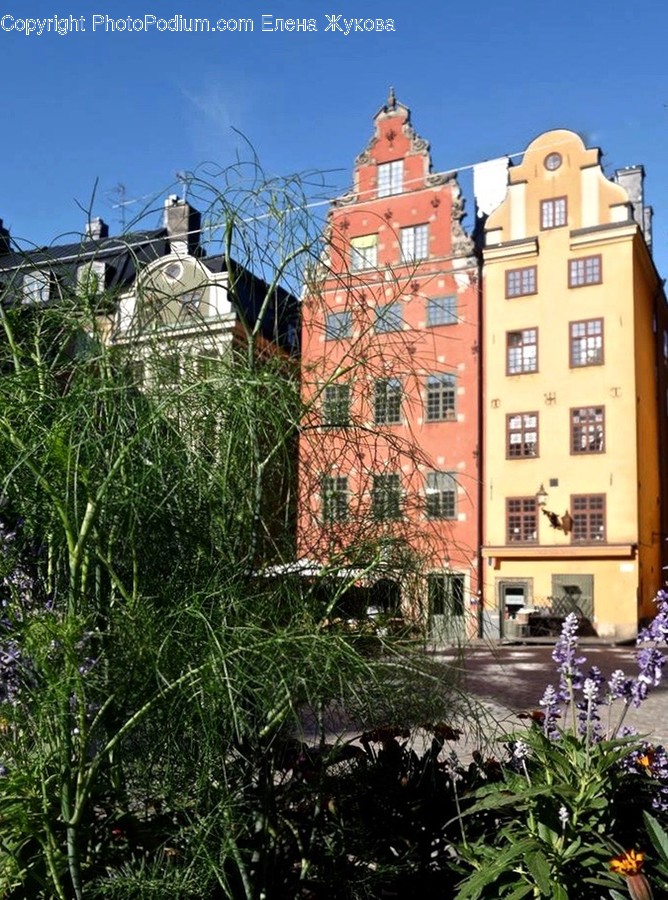 Urban, Building, City, High Rise, Town