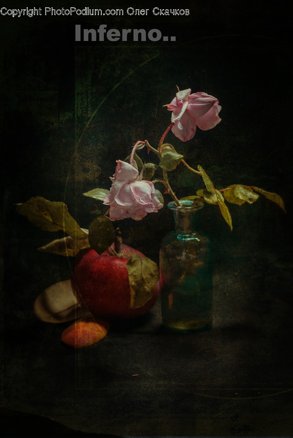 Plant, Pottery, Flower Arrangement, Art, Blossom