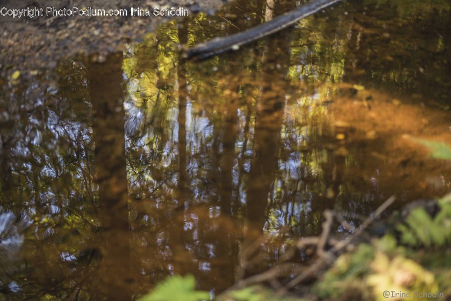 Nature, Land, Outdoors, Puddle, Water