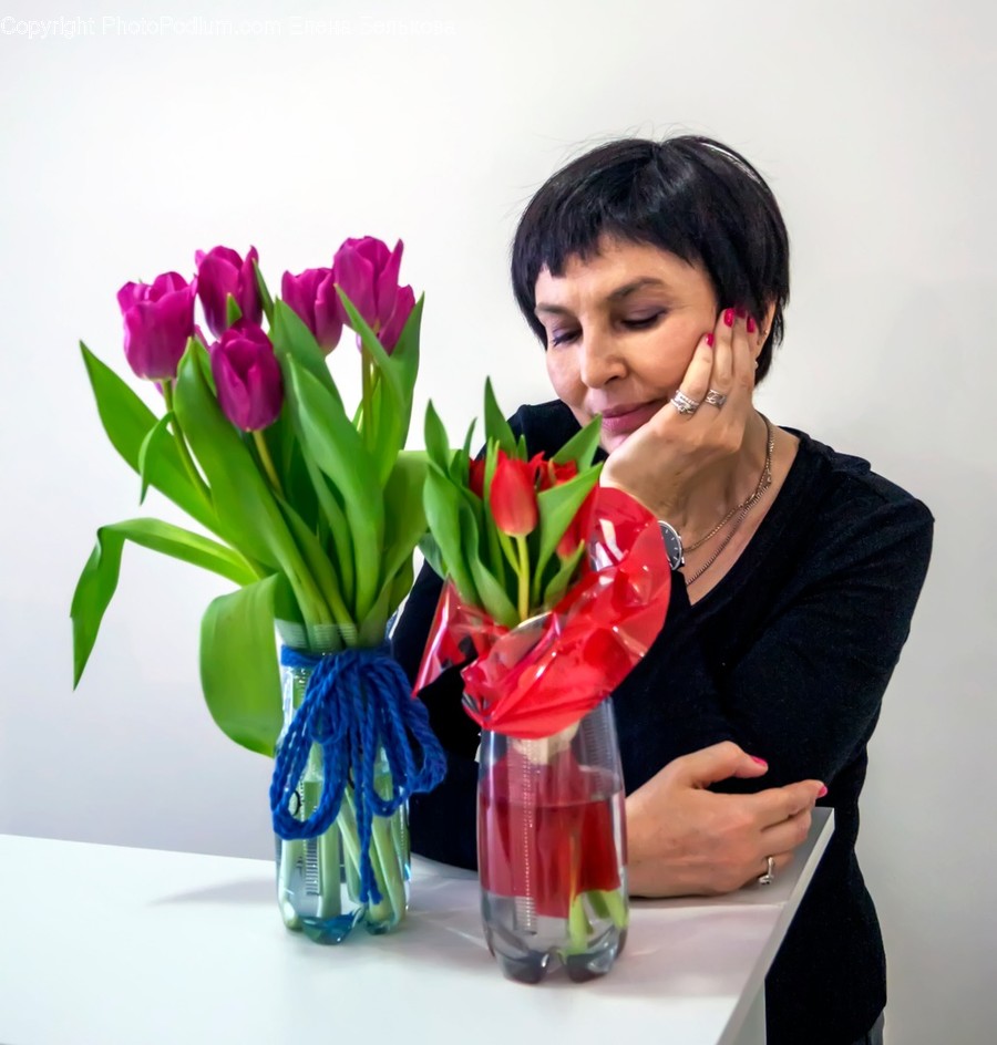 Plant, Human, Person, Blossom, Flower