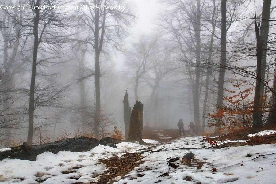 Nature, Weather, Person, Human, Outdoors