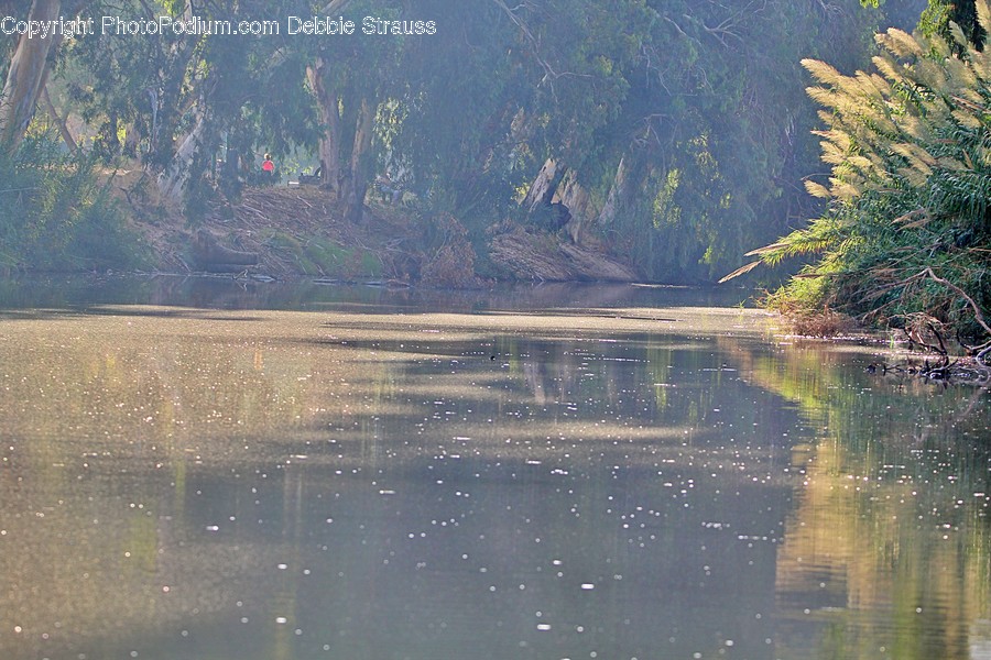 Outdoors, Nature, Land, Water, Tree