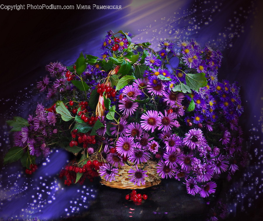 Plant, Flower, Blossom, Flower Arrangement, Flower Bouquet