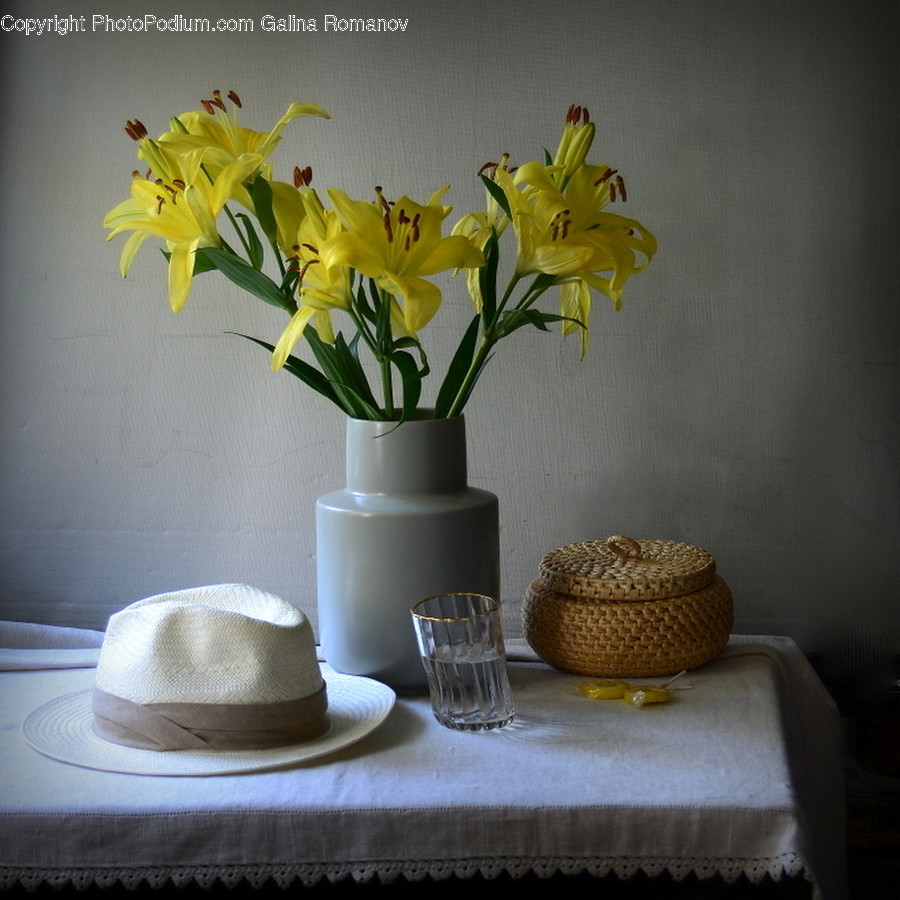 Plant, Flower, Blossom, Clothing, Apparel