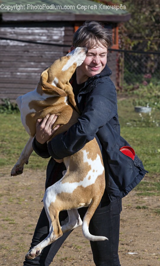 Person, Human, Mammal, Animal, Canine